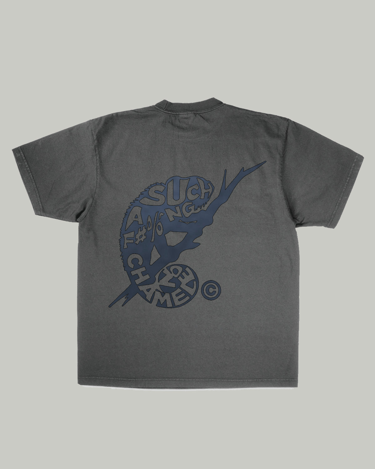 Sunlight Activated Grey Blue Chameleon Tee