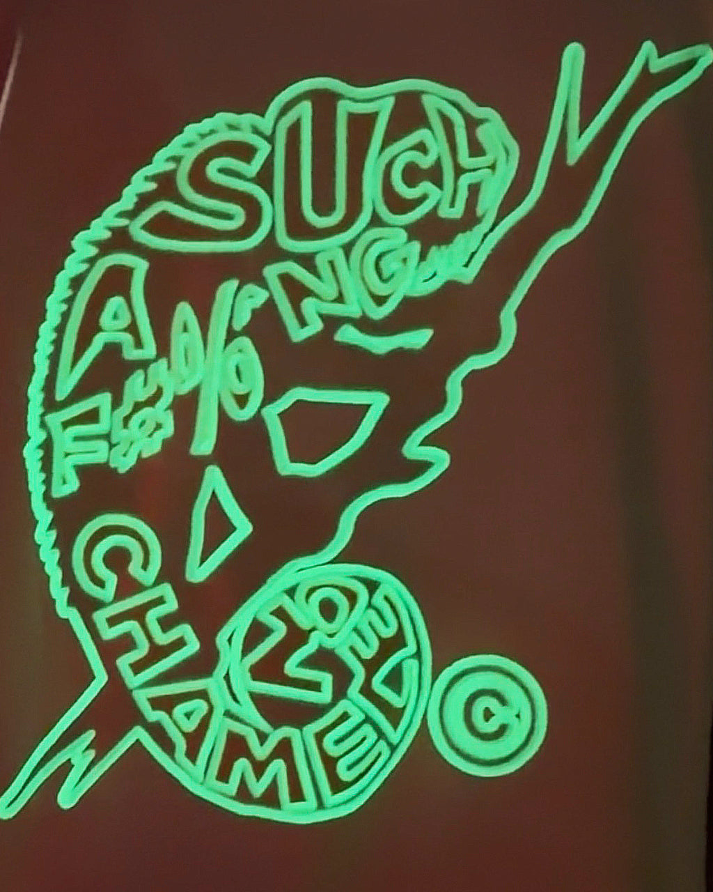 Women’s Champion GITD Sun Reveal Chameleon Tee
